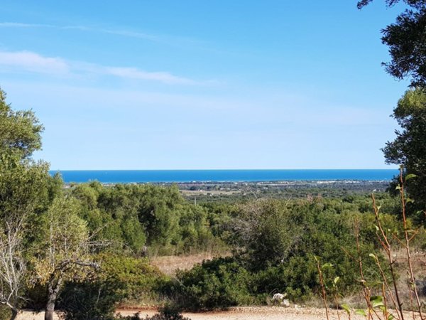 terreno agricolo in vendita ad Olbia