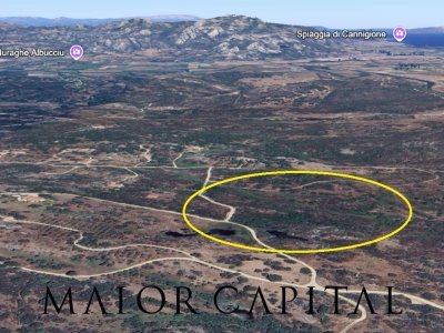 terreno agricolo in vendita ad Olbia in zona San Pantaleo