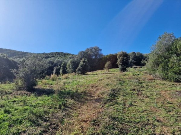 terreno agricolo in vendita ad Olbia in zona Sole Ruiu