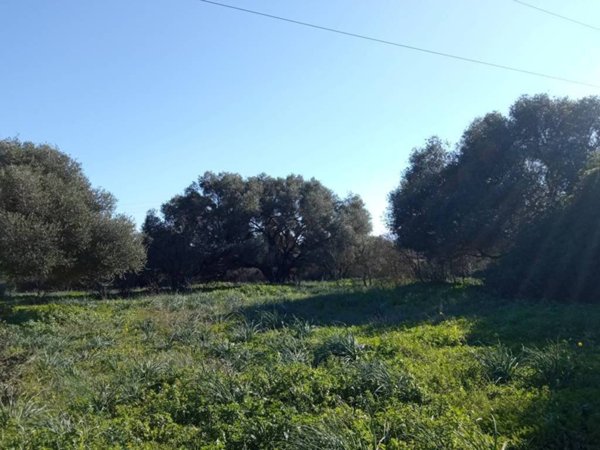 terreno agricolo in vendita ad Olbia in zona Santa Mariedda