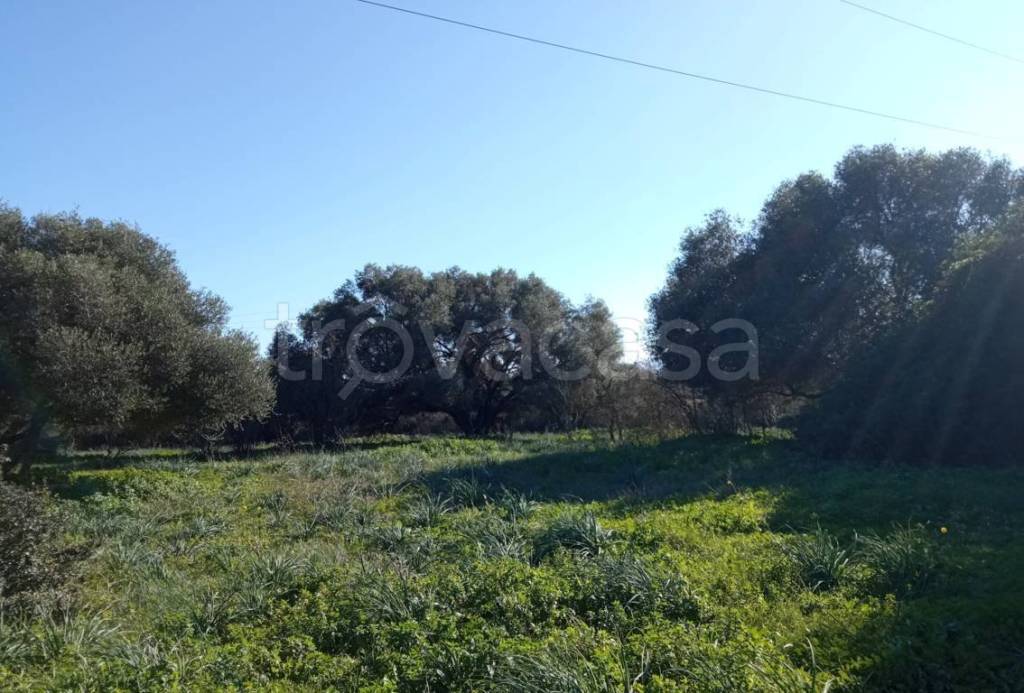 casa indipendente in vendita ad Olbia in zona Sa Istrana
