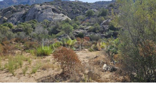 terreno agricolo in vendita ad Olbia