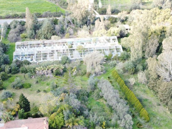 azienda agricola in vendita ad Olbia in zona Putzolu