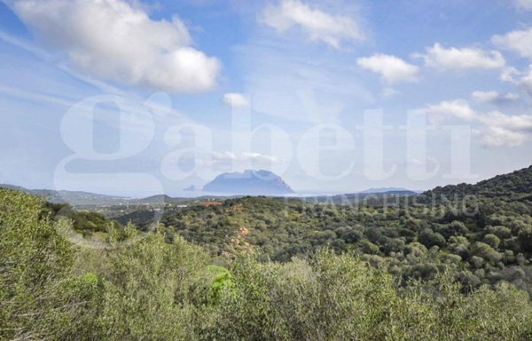 terreno edificabile in vendita ad Olbia in zona Murta Maria