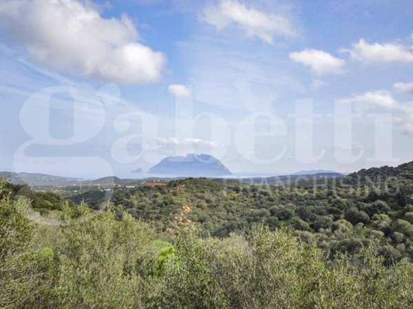 terreno edificabile in vendita ad Olbia in zona Porto Istana