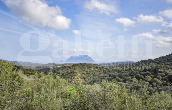 casa indipendente in vendita ad Olbia in zona Porto Istana