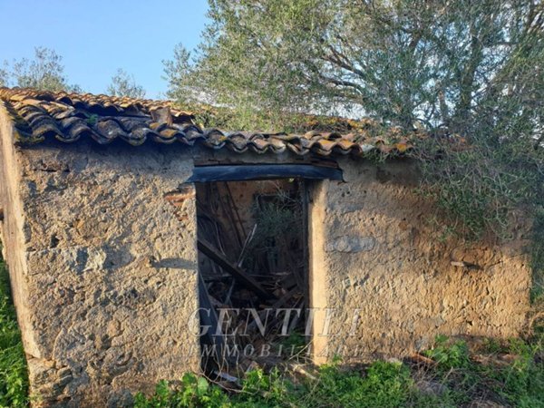 casa indipendente in vendita ad Olbia in zona Santa Mariedda