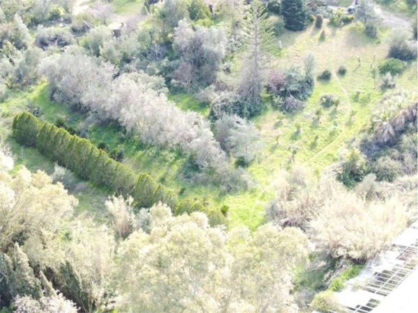 terreno agricolo in vendita ad Olbia in zona Putzolu