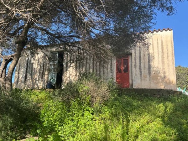 casa indipendente in vendita ad Olbia in zona Putzolu