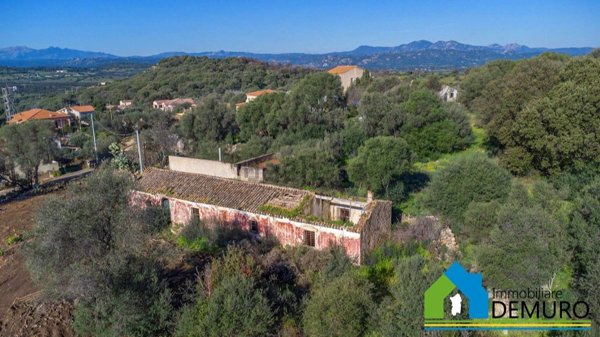 esavano in vendita ad Olbia