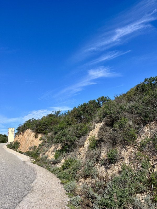 terreno agricolo in vendita ad Olbia