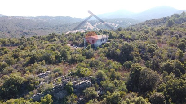 casa indipendente in vendita ad Olbia in zona San Pantaleo