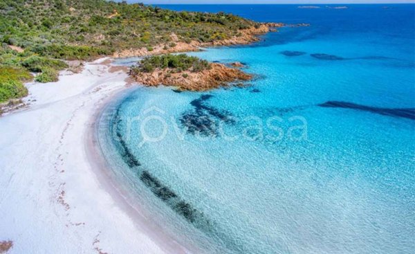 negozio in vendita ad Olbia