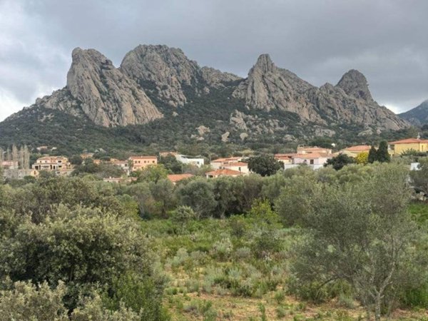 appartamento in vendita ad Olbia in zona San Pantaleo