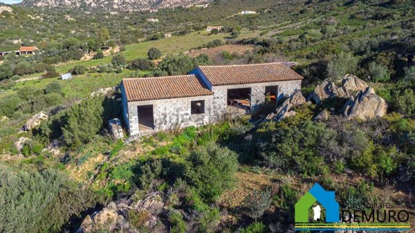 esavano in vendita ad Olbia in zona Osseddu