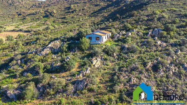 esavano in vendita ad Olbia in zona Osseddu