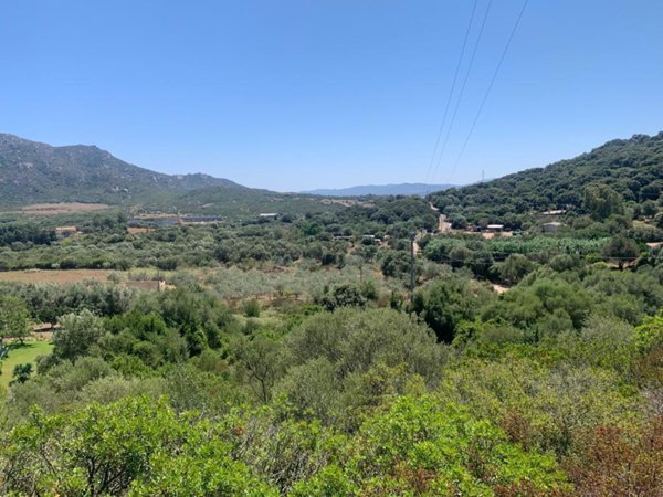 terreno agricolo in vendita ad Olbia in zona San Simplicio