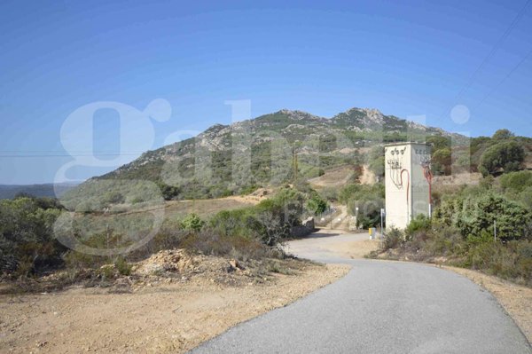 terreno agricolo in vendita ad Olbia