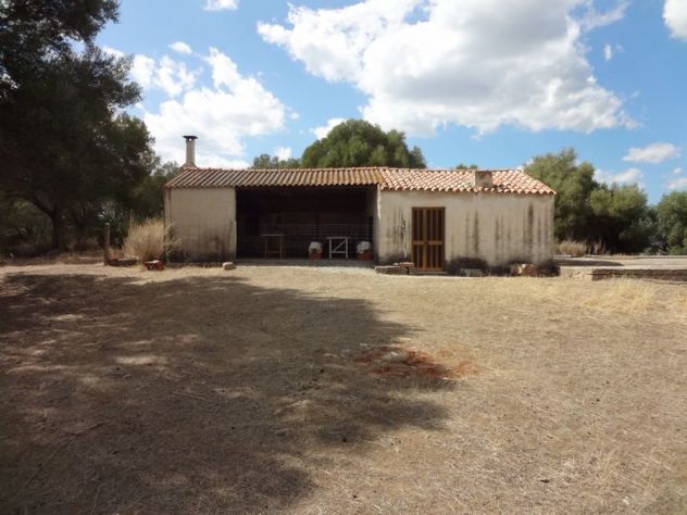 appartamento in vendita ad Olbia