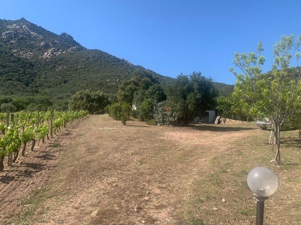 casa indipendente in vendita ad Olbia in zona Cugnana