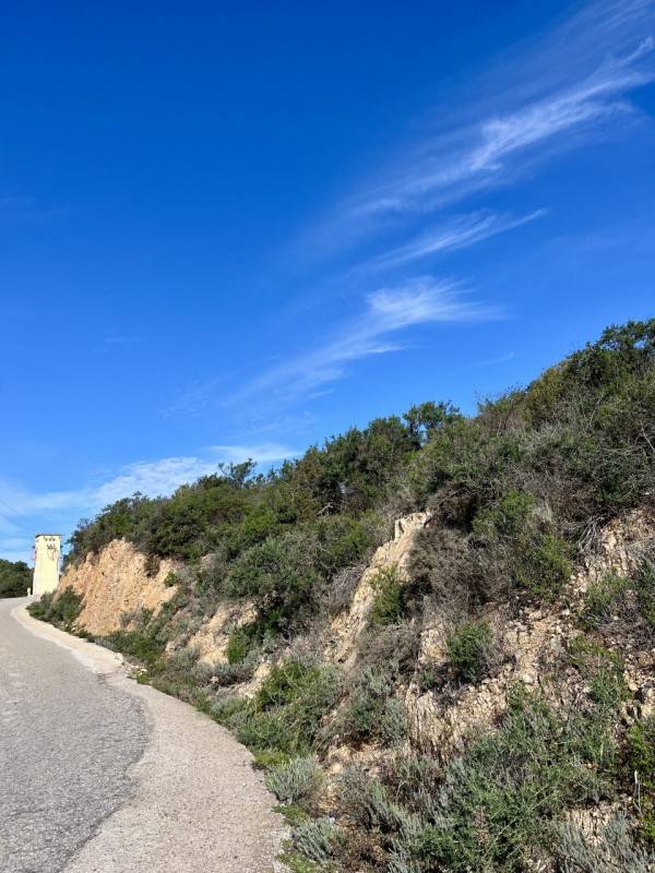terreno agricolo in vendita ad Olbia