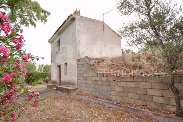 terreno agricolo in vendita ad Olbia