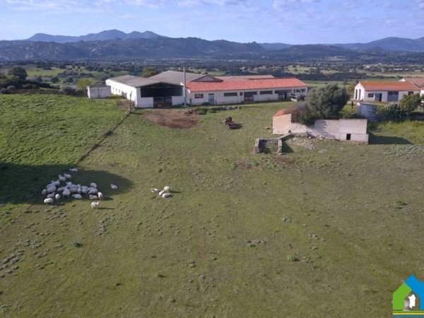 terreno agricolo in vendita ad Olbia