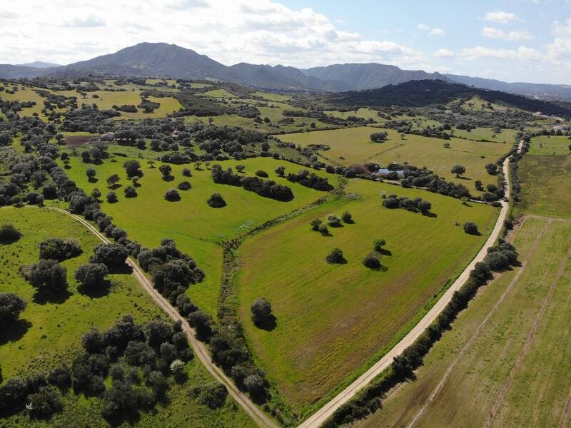 terreno agricolo in vendita ad Olbia