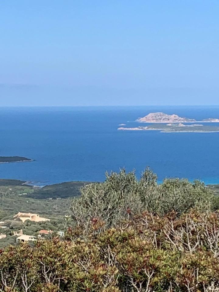terreno agricolo in vendita ad Olbia in zona Portisco