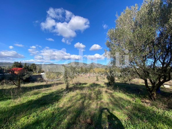 terreno agricolo in vendita ad Olbia in zona Santa Mariedda