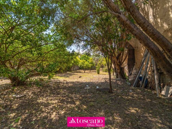casa semindipendente in vendita ad Olbia in zona Centro Storico