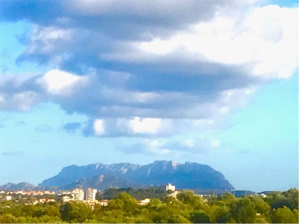 terreno agricolo in vendita ad Olbia