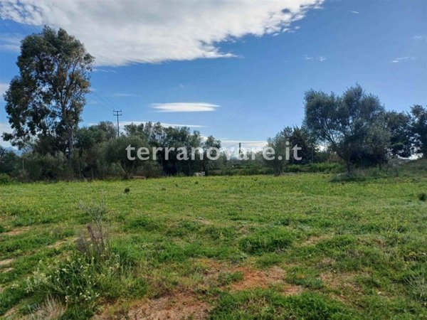terreno agricolo in vendita ad Olbia