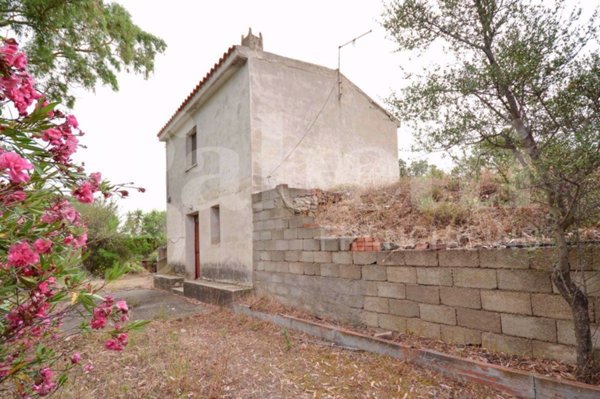 terreno agricolo in vendita ad Olbia