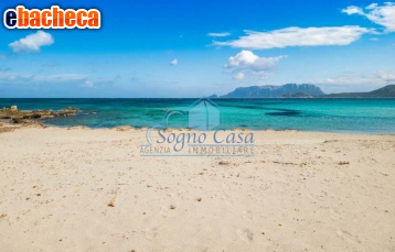 appartamento in vendita ad Olbia in zona Pittulongu