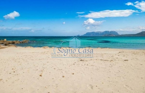 casa indipendente in vendita ad Olbia in zona Pittulongu