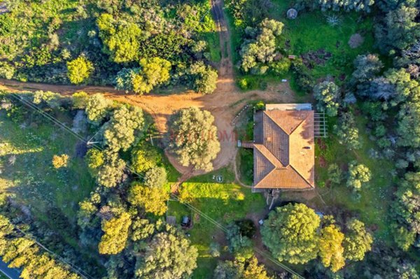 casa indipendente in vendita ad Olbia in zona Porto Rotondo
