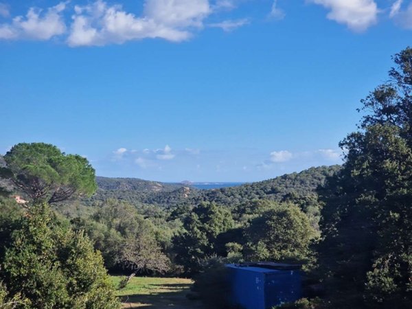 terreno agricolo in vendita ad Olbia in zona Porto Rotondo