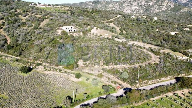 casa indipendente in vendita ad Olbia