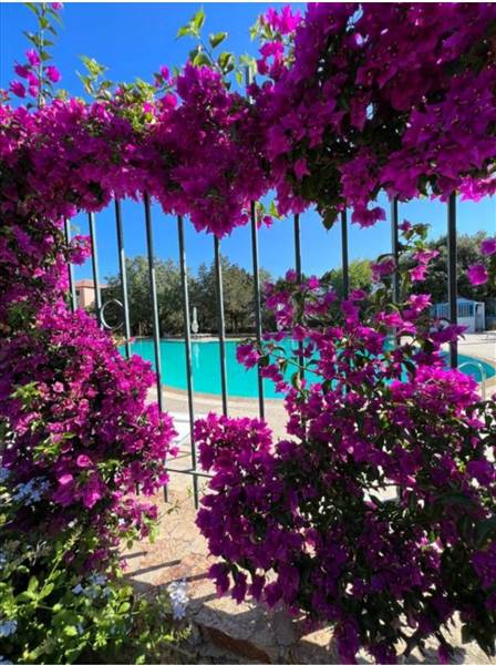 appartamento in vendita ad Olbia in zona Porto Rotondo