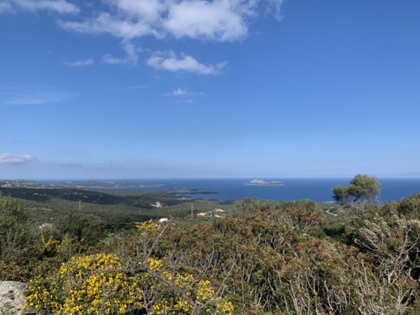 casa indipendente in vendita ad Olbia in zona San Pantaleo