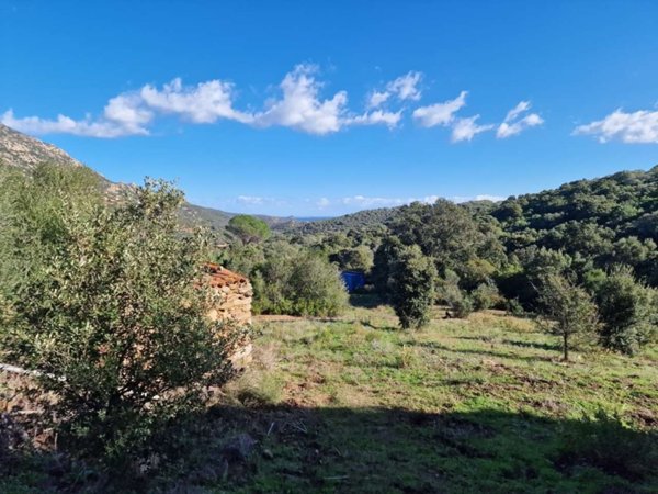 terreno agricolo in vendita ad Olbia in zona Cugnana