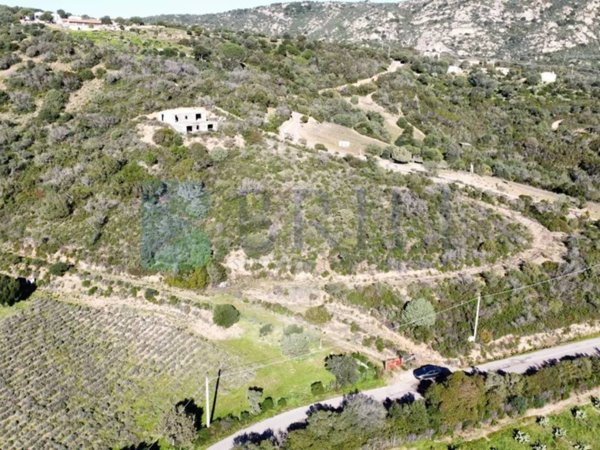 casa indipendente in vendita ad Olbia in zona Santa Mariedda