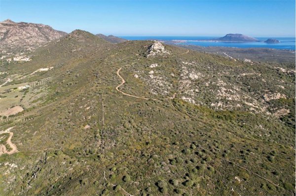 terreno agricolo in vendita ad Olbia in zona Pittulongu