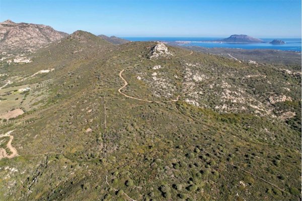 terreno agricolo in vendita ad Olbia in zona Pittulongu