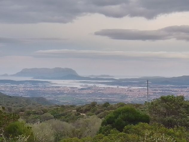 terreno agricolo in vendita ad Olbia in zona Vittorio Veneto