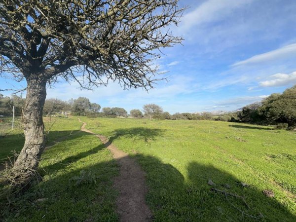 terreno agricolo in vendita ad Olbia in zona Sole Ruiu