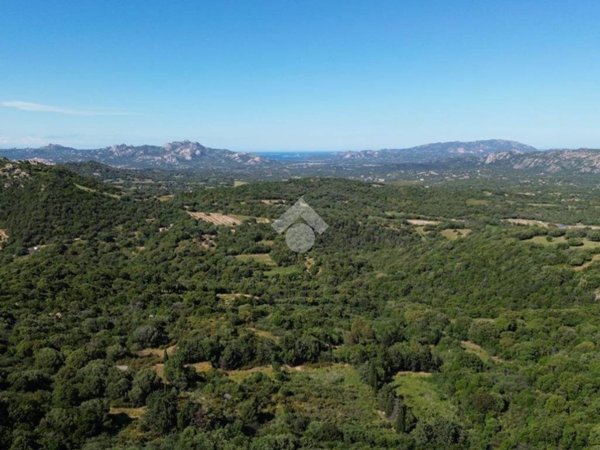 terreno agricolo in vendita ad Olbia in zona Sole Ruiu