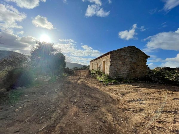 terreno agricolo in vendita ad Olbia in zona Sole Ruiu