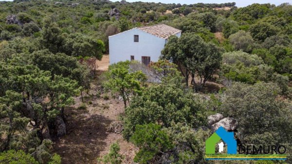 casa indipendente in vendita ad Olbia in zona Putzolu